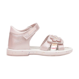 Vices Mordazas 3SD730-45-rosa rosado