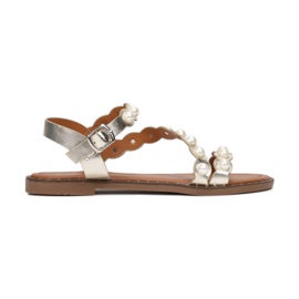 Vices Mordazas CM55-55-60-oro dorado Vices Mordazas CM55-55-60-oro dorado