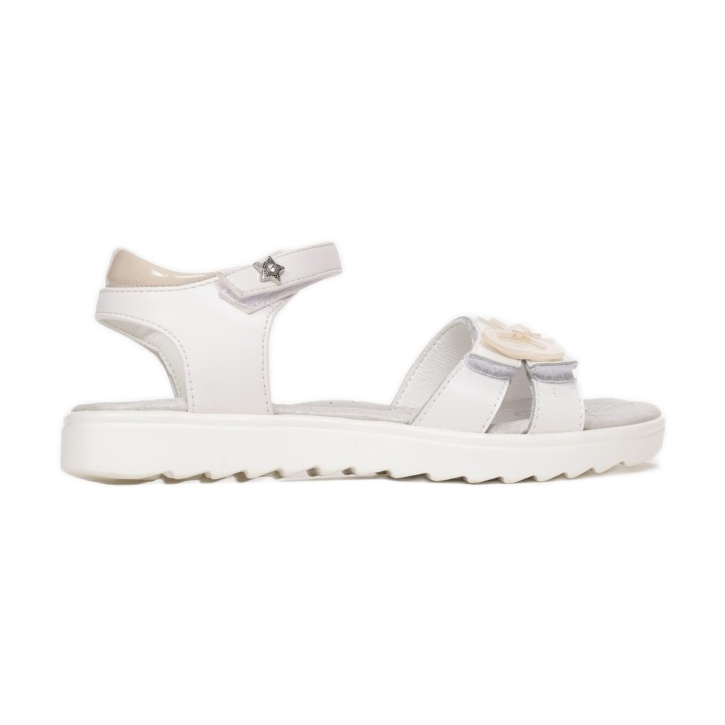 Vices Mordazas B-3156-392-blanco / beige