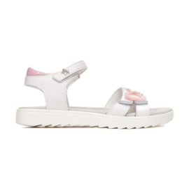 Vices Mordazas B-3156-83-blanco / rosa