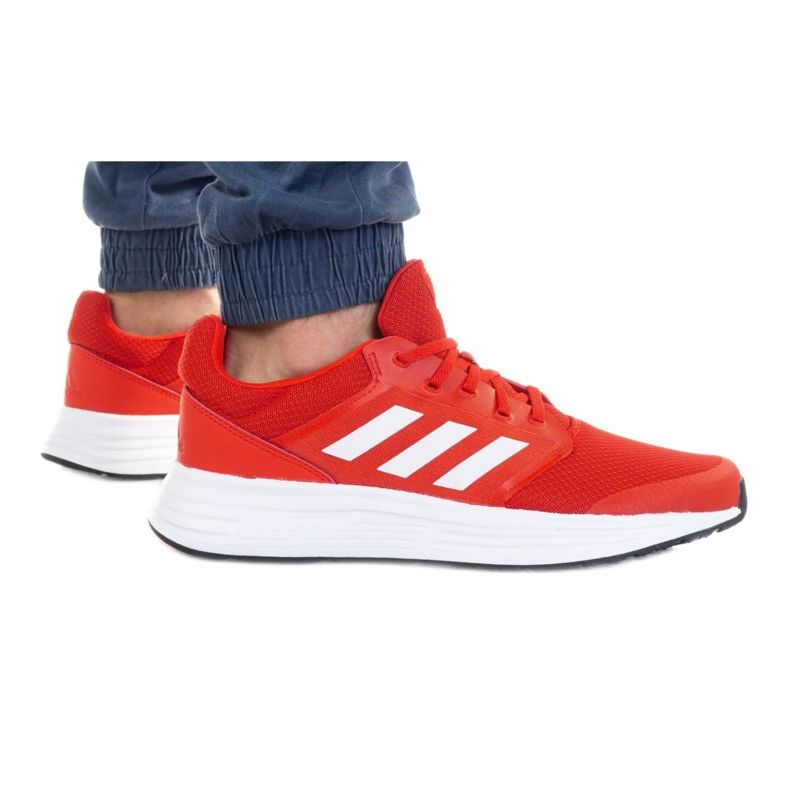 Zapatos adidas Galaxy 5 Vived M FY6721 rojo