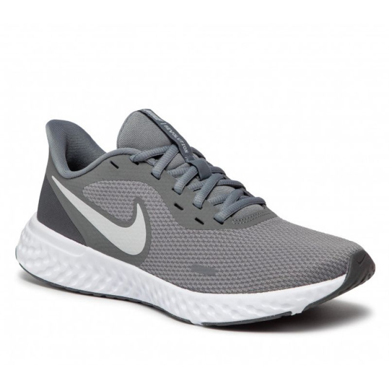 Calzado Nike Revolution 5 M BQ3204-005 gris