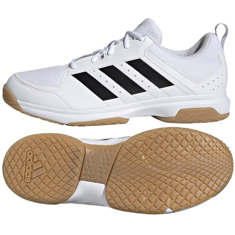 Zapatillas de voleibol Adidas Ligra 7 M GZ0069 blanco blanco