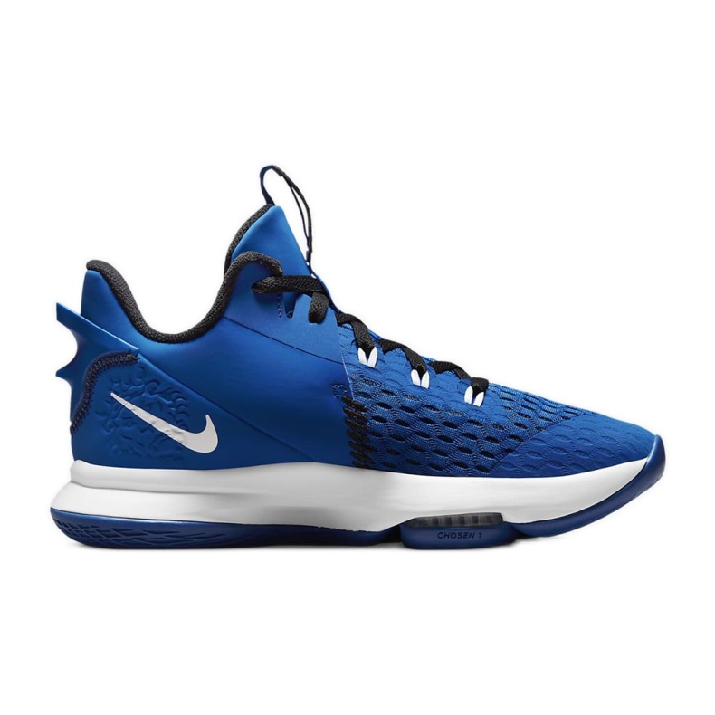 Nike Lebron Witness VM CQ9380-400 multicolor azul