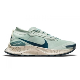 Zapatillas de running Nike Pegasus Trail 3 Gtx W DC8794-003 verde