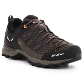 Zapatos de trekking Salewa Mtn Trainer Lite Gtx M 61361-7512 marrón