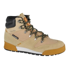 Zapatillas Adidas Terrex Snowpitch Cold.Rdy M FZ3377 beige