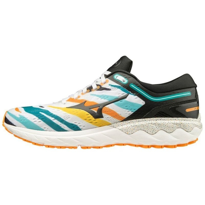 Zapatillas de running Mizuno Wave Skyrise Amsterdam M J1GC206209 multicolor