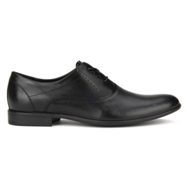 Filippo A-6619-524 Zapatos negros