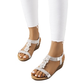 Sandalias cuña Amisha plata