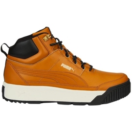 Puma Tarrenz Sb Ii M 386392 02 marrón