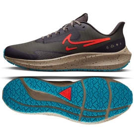 Nike Air Zoom Pegasus M DO7625 200 zapatillas de running multicolor gris
