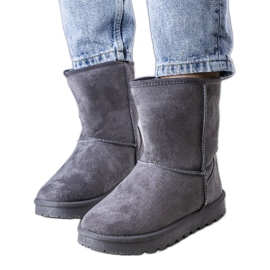Botas de nieve con aislamiento gris Hank