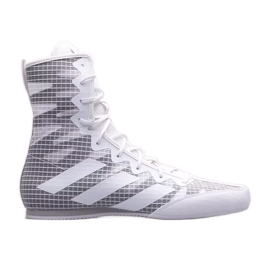 Zapatos de boxeo adidas Box Hog 4 GZ6118 gris