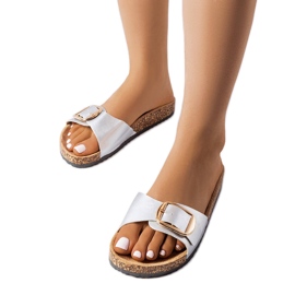 Chanclas plateadas con hebilla de Benoit plata