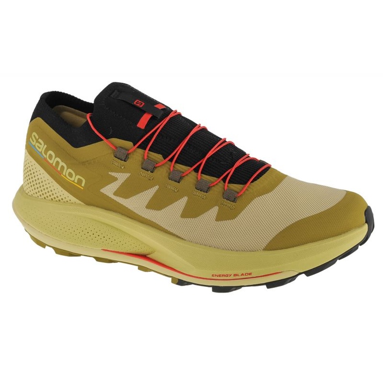 Zapatos Salomon Pulsar Trail-Pro M 415936 verde