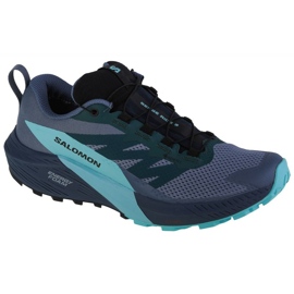 Zapatos Salomon Sense Ride 5 Gtx M 471474 azul