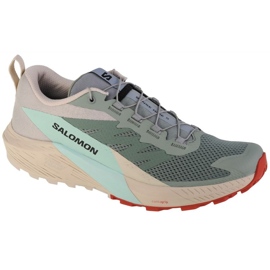 Zapatos Salomon Sense Ride 5 M 472117 verde