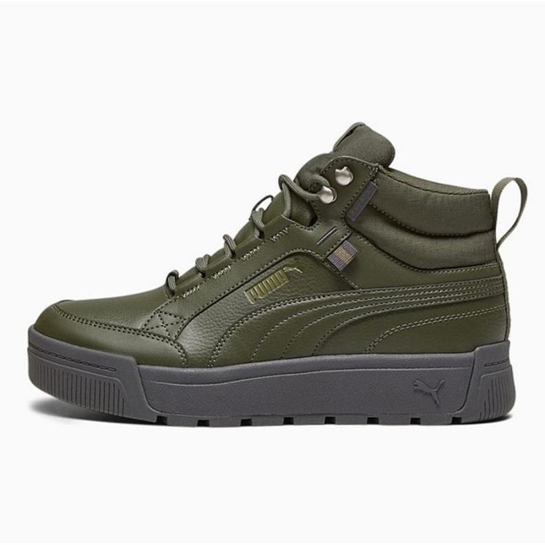 Zapatillas Puma Tarrenz Sb Iii Puretex M 393930-03 verde