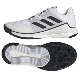 Zapatillas de voleibol Adidas CrazyFlight M HP3355 blanco