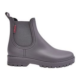 PS1 Botas de agua bajas para mujer Gris Birella