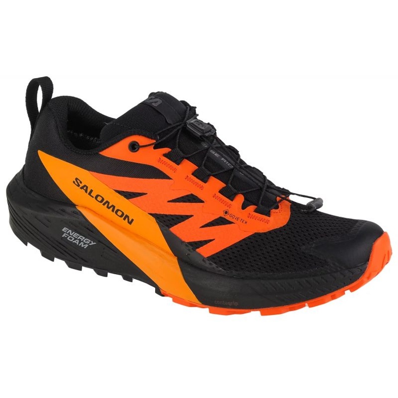 Zapatillas Salomon Sense Ride 5 Gtx M 471473 multicolor