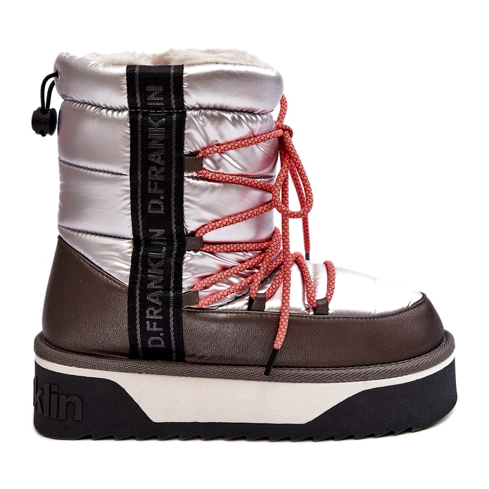 Botas de nieve para mujeres en una suela vegana gruesa D.franklin DFSH371006 Plata