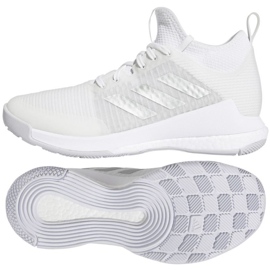 Zapatillas voleibol Adidas Crazyflight Mid W HQ3491 blanco