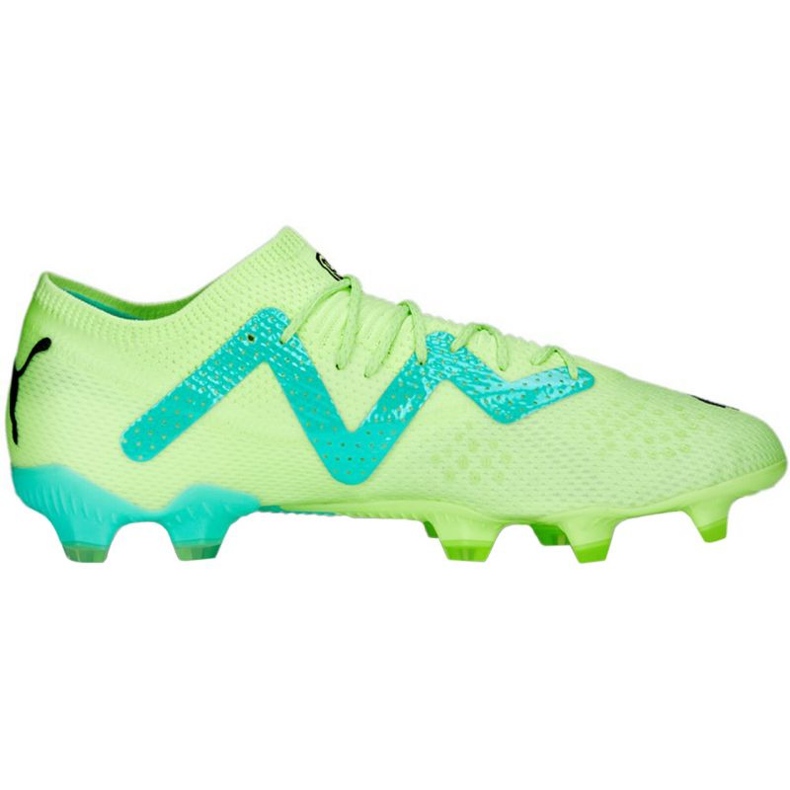 Zapatillas de fútbol Puma Future Ultimate Low FG/AG M 107169 03 verde