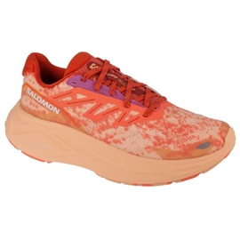 Zapatillas Salomon Aero Glide 2 W 474266 rosado