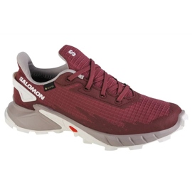 Zapatillas Salomon Alphacross 4 Gtx W 471174 rosado