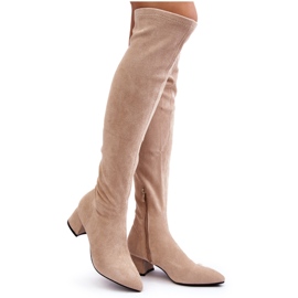 Botas de tacón bajo por encima de la rodilla para mujer, color beige claro Maidna