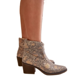 Botas cowboy de mujer Serpiente Dorada multicolor