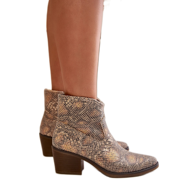 Botas cowboy de mujer Serpiente Dorada multicolor