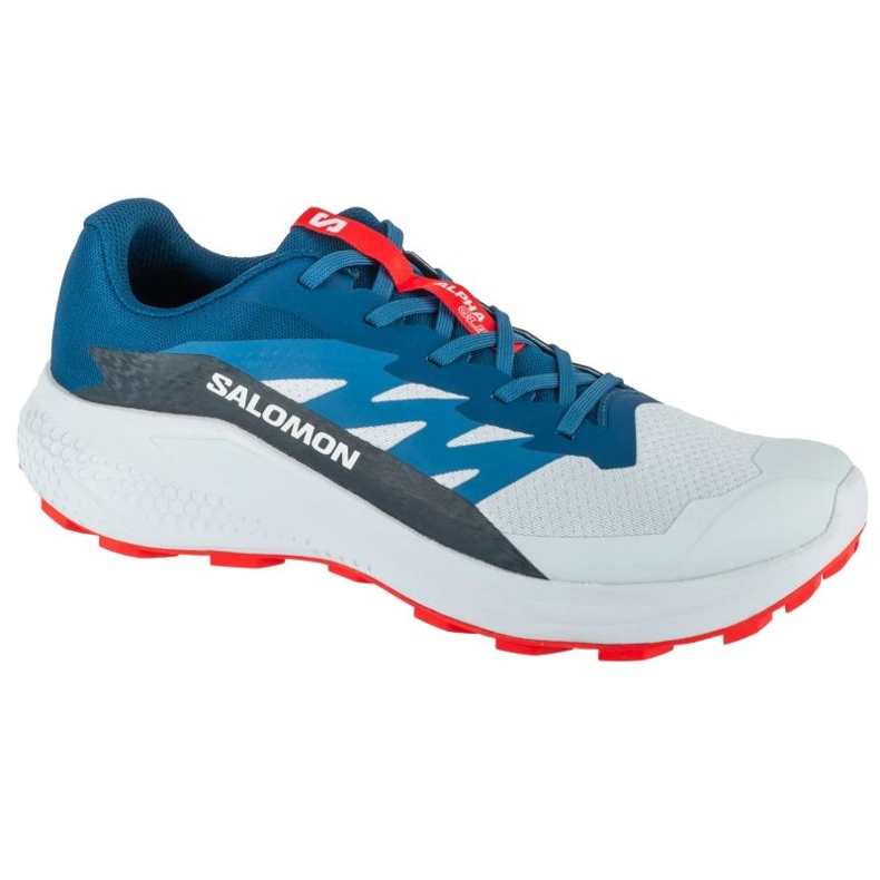 Salomon Alphaglide Ballad L477724300 Zapatos para correr gris
