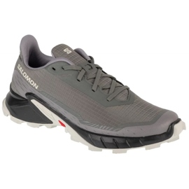 Salomon Alpharacross 5 473133 zapatos para correr gris