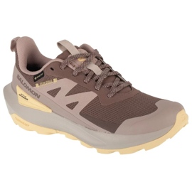 Salomon Elixir Active GTX L477760100 Zapatos para correr marrón