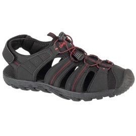 Campus Sandalias Sandalias CM0109122260 negro