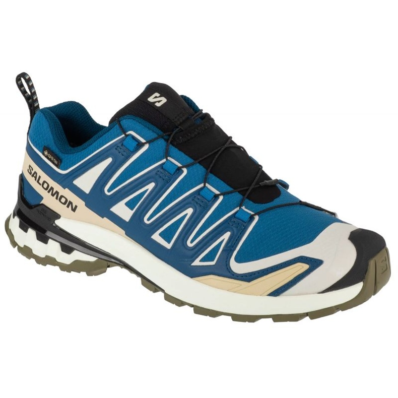 Salomon XA Pro 3D V9 GTX L47817400 Zapatos para correr azul