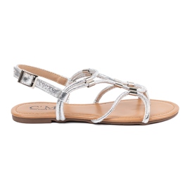 Silver Women's Flip -flops plata