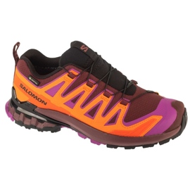 Salomon XA Pro 3D V9 GTX Running Shoes en L47961900 multicolor
