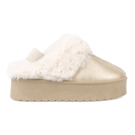 Shelvt Zapatos dorados y botas de nieve con pelaje blanco