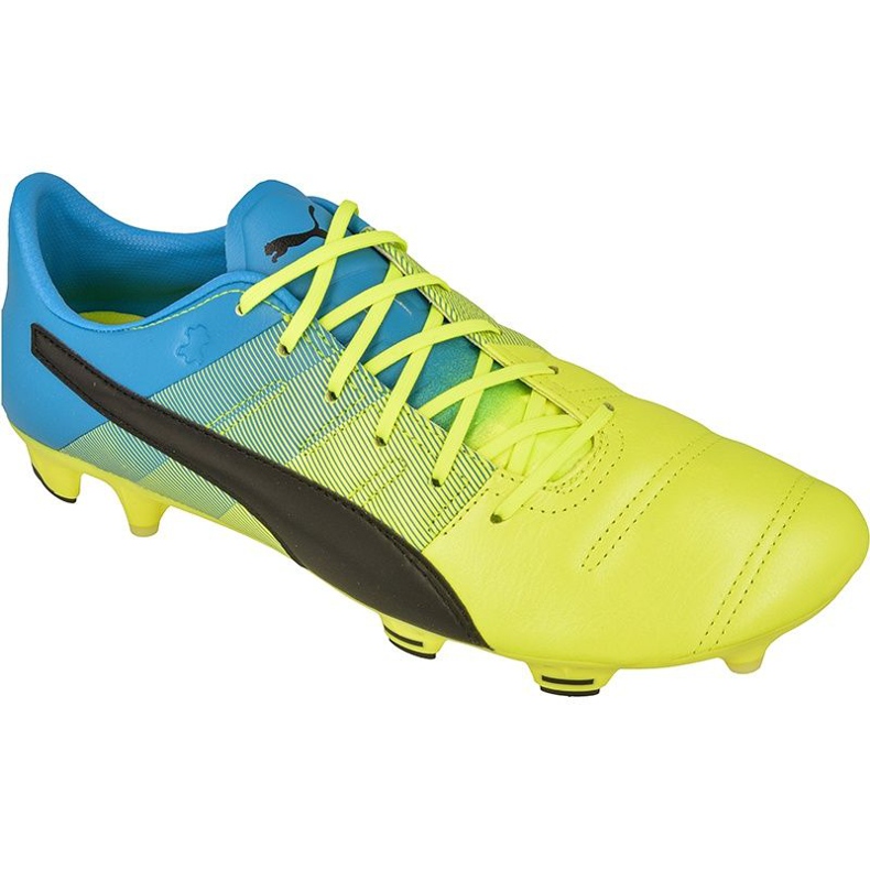 Botas de fútbol Puma evoPOWER 1.3 FG M Cuero 10352701