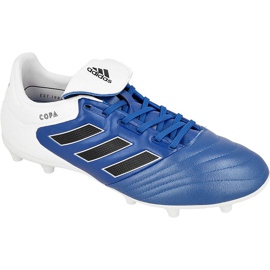 Botas de fútbol Adidas Copa 17.3 Fg M BA9717 azul azul