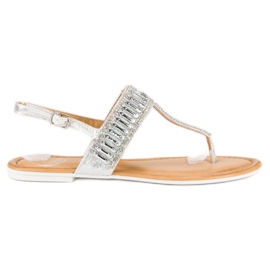 Chanclas plateadas gris