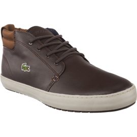 Lacoste Ampthill Terra 317 1 176 marrón