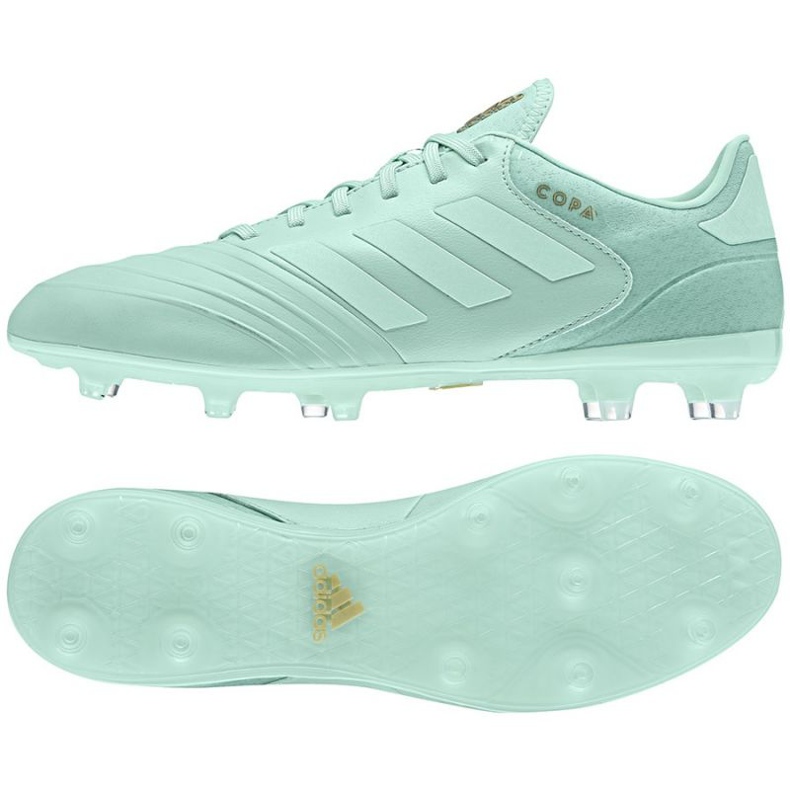 Las botas de fútbol adidas Copa 18.2 Fg M. azul