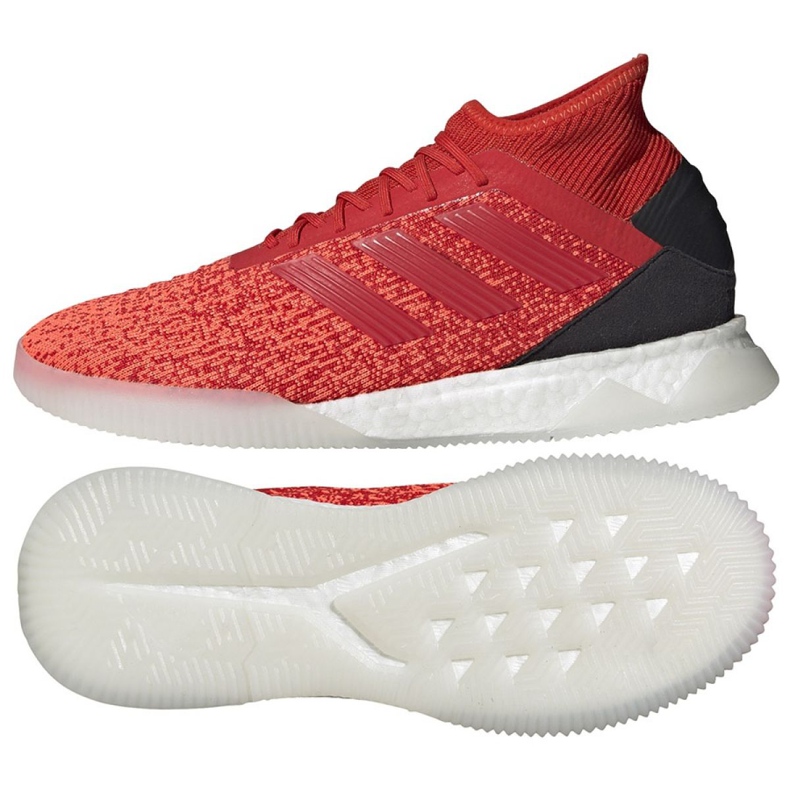 Zapatos de interior adidas Predator 19.1 Tr M D98057 multicolor rojo