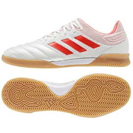 Zapatos de interior adidas Copa 19.3 IN Sala M D98065 blanco Zapatos de interior adidas Copa 19.3 IN Sala M D98065 blanco