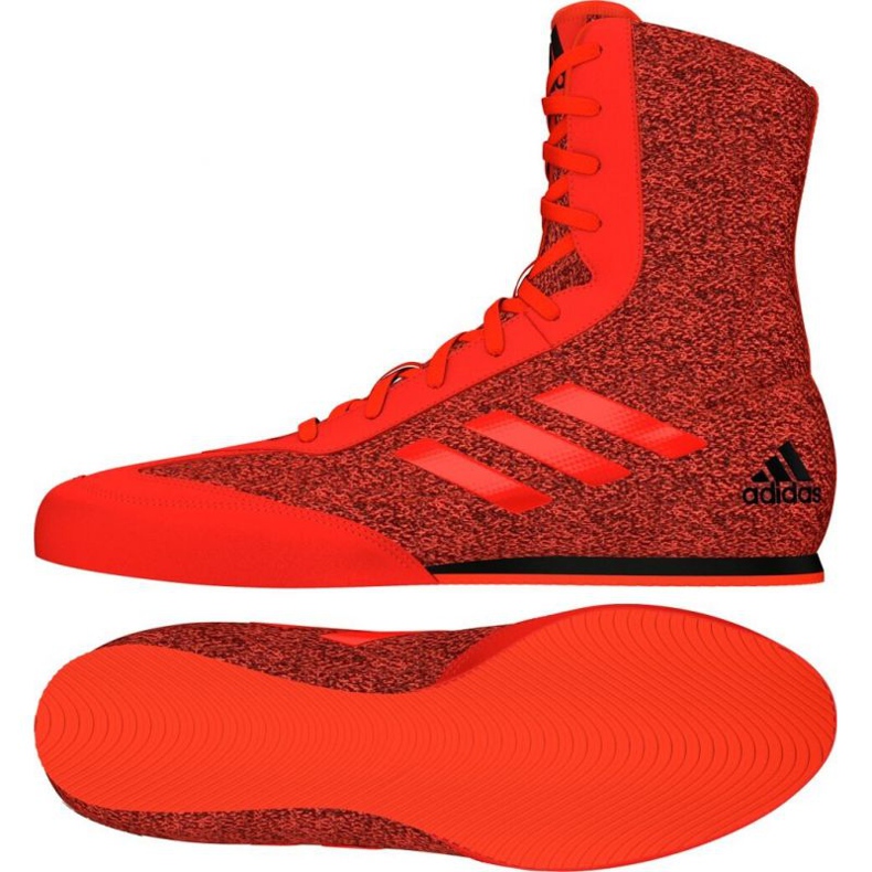 Zapatillas de boxeo Adidas Box Hog Plus rojo